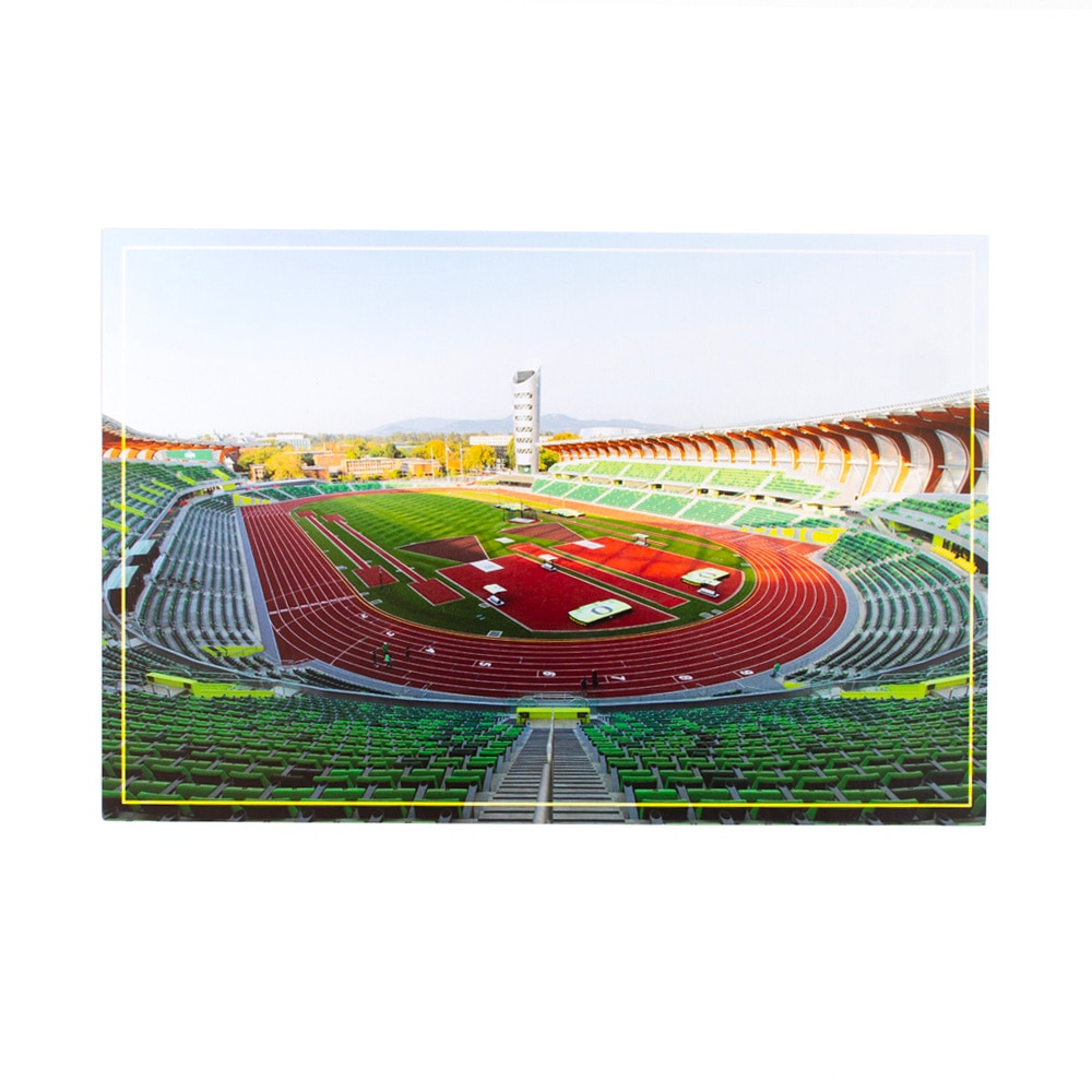 Hayward Field, Post Card, Gifts, Track & Field, Hayward Tower, 958116